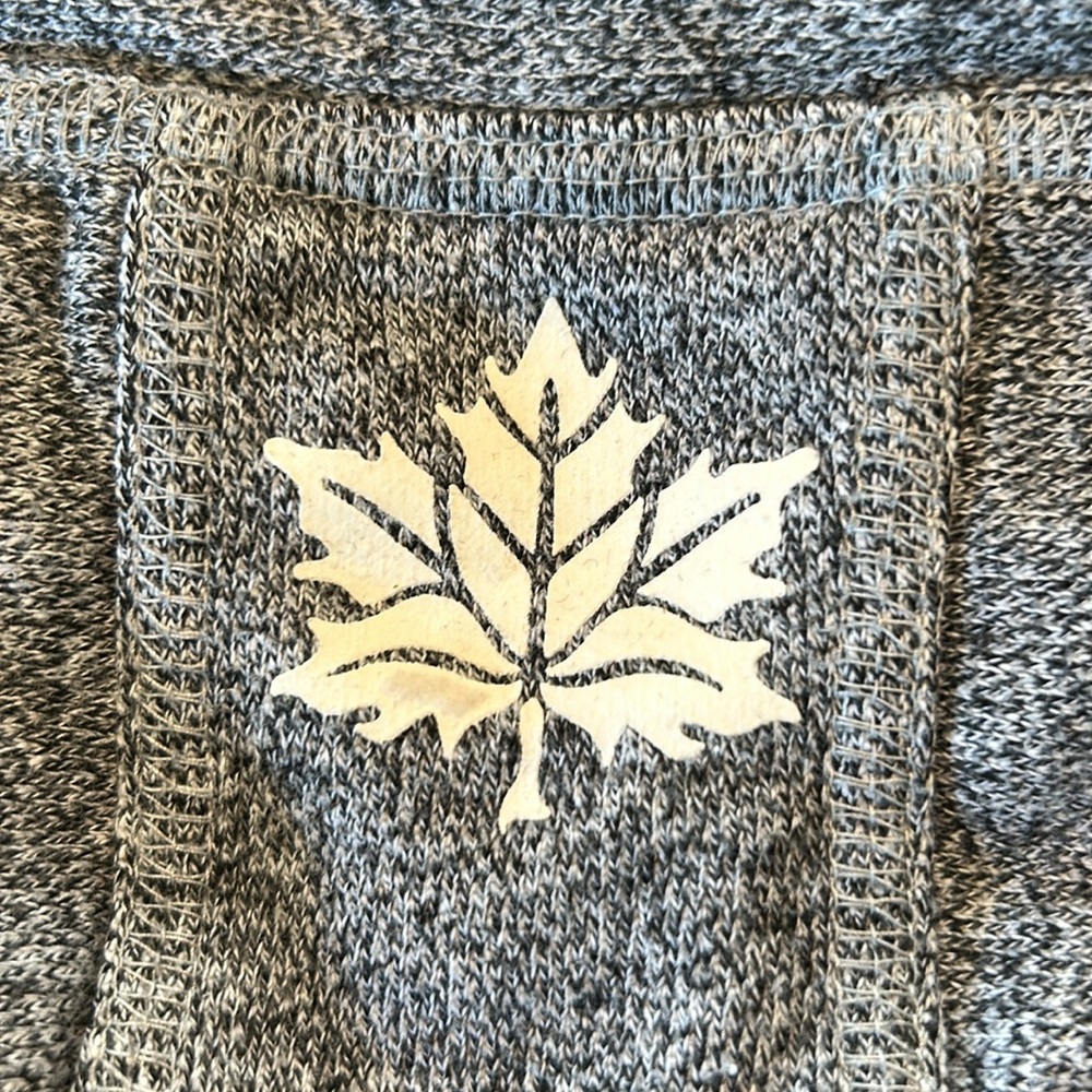 Roots Gray Banff Hoodie - Picture 12 of 12